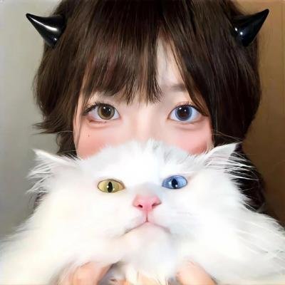 猎豹行动