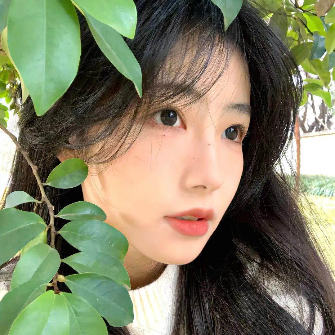 落花时节又逢君